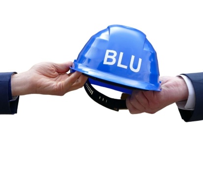 Logo BLU-Konzeot