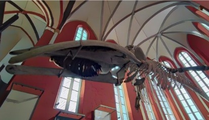 AusstellungphanTECHNIKUM